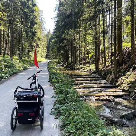 Villa Gorski Azyl W Soblowce