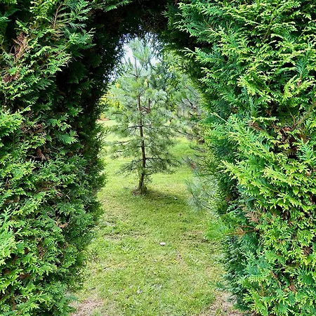 Gorski Azyl W Soblowce * Sablowka