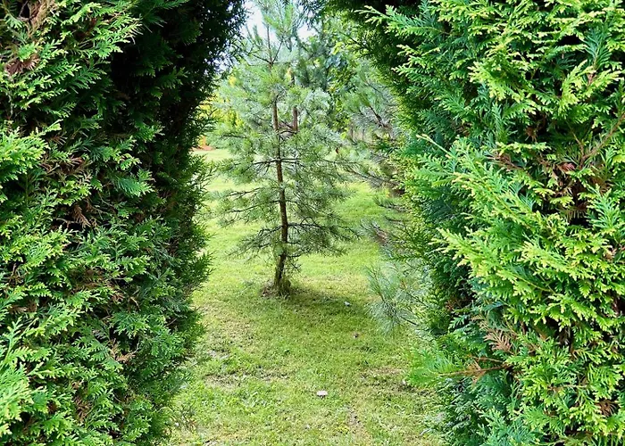 Gorski Azyl W Soblowce * Sablówka